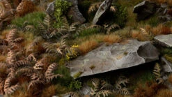 Laser Plants – Dry Bracken